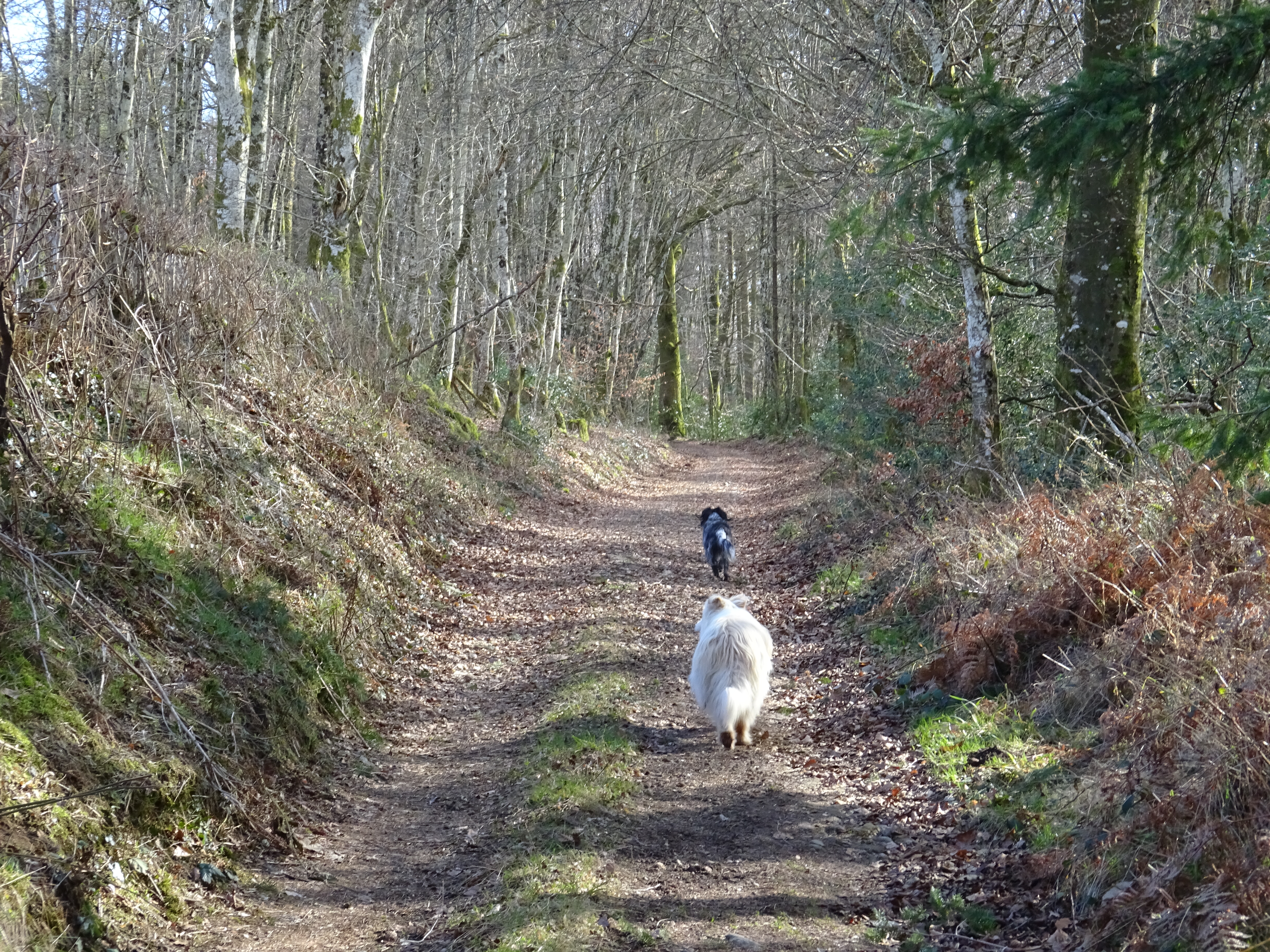 wandeling vanuit huis februari 2017