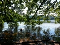 Lac de Chaumecon, paradijs voor mens en dier juni 2015