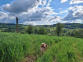 wandelen vanuit huis