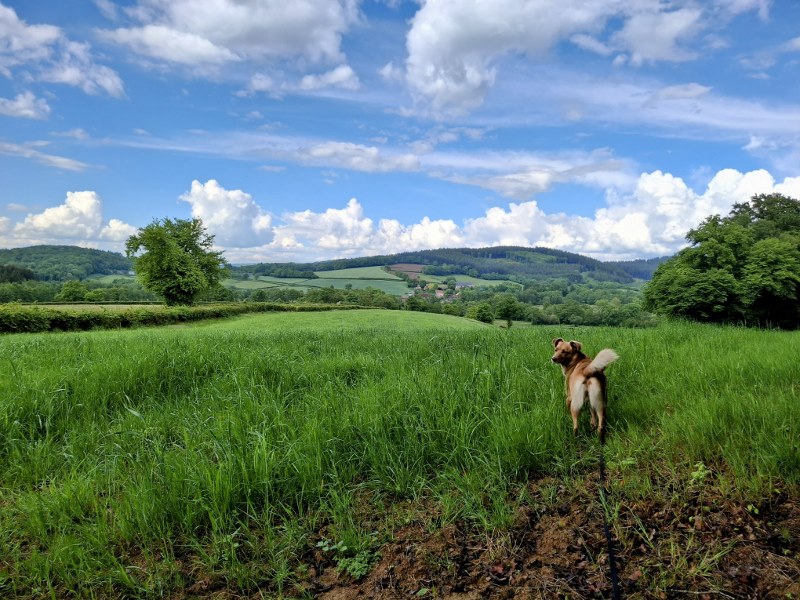 wandeling naar Razou